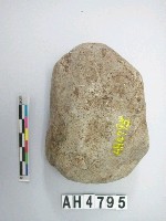 藏品(石錘)的圖片
